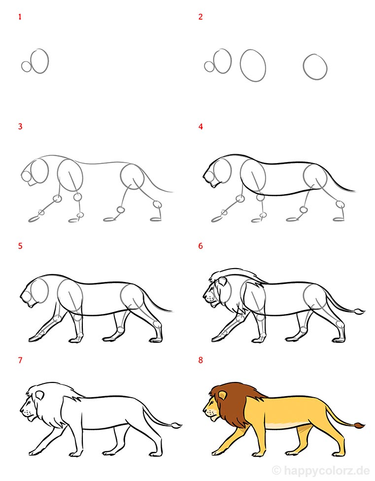 ᐅ Löwe zeichnen - Schritt-für-Schritt Anleitung mit Bildern » Löwe malen