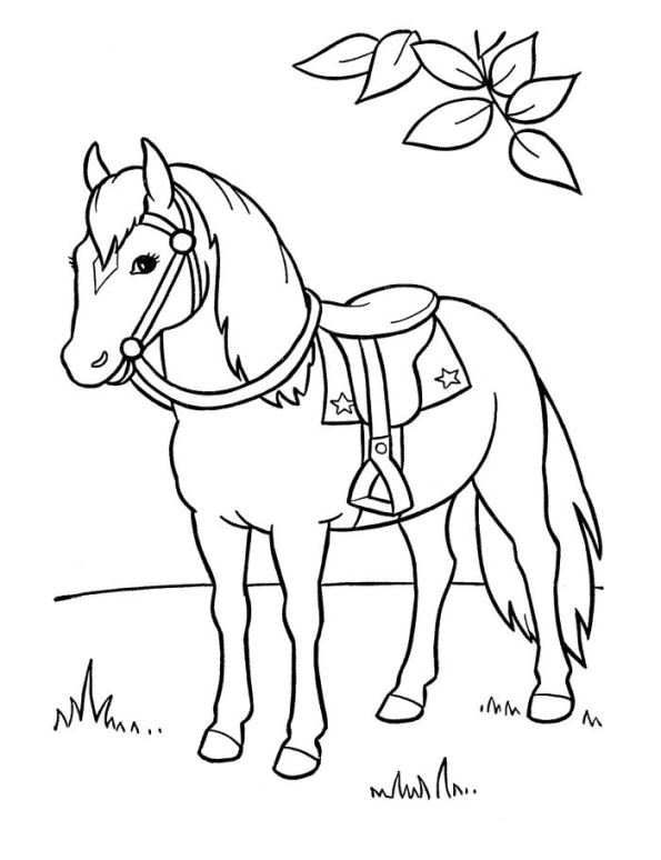 supermalvorlagen.online | Horse coloring books, Horse coloring pages